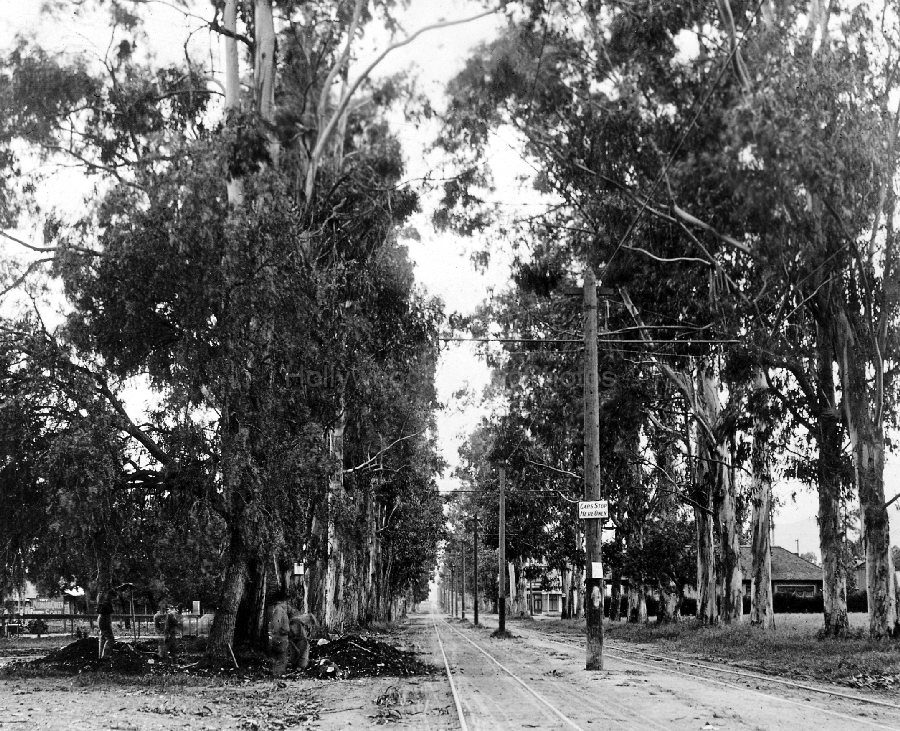 Hollywood 1902 WM.jpg